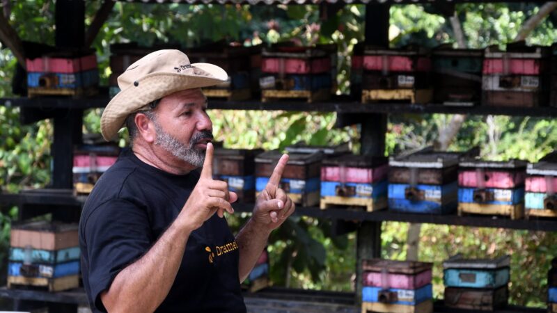 Circuito DRAMEL de Arte é inaugurado com vivência educativa em Iranduba