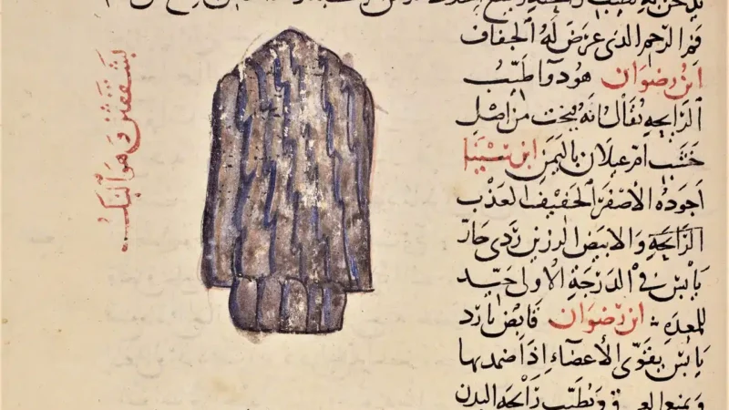 Antes de beber, café era usado para lavar as mãos