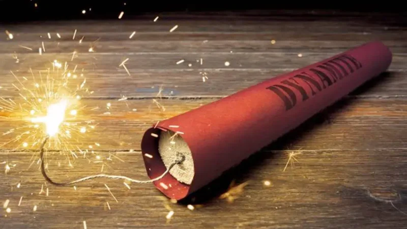 Cachorrinha heroína desarma dinamite jogada em casa e salva família de explosão