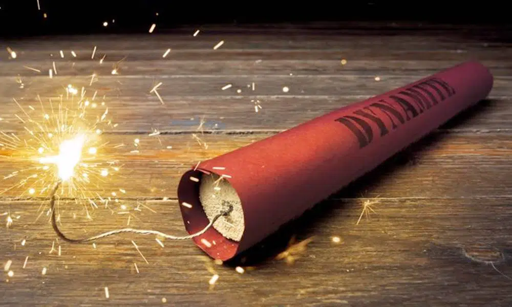 Cachorrinha heroína desarma dinamite jogada em casa e salva família de explosão