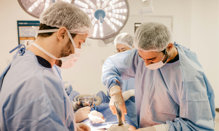 Imortalidade após transplante? Saiba verdade sobre declaração de Xi e Putin