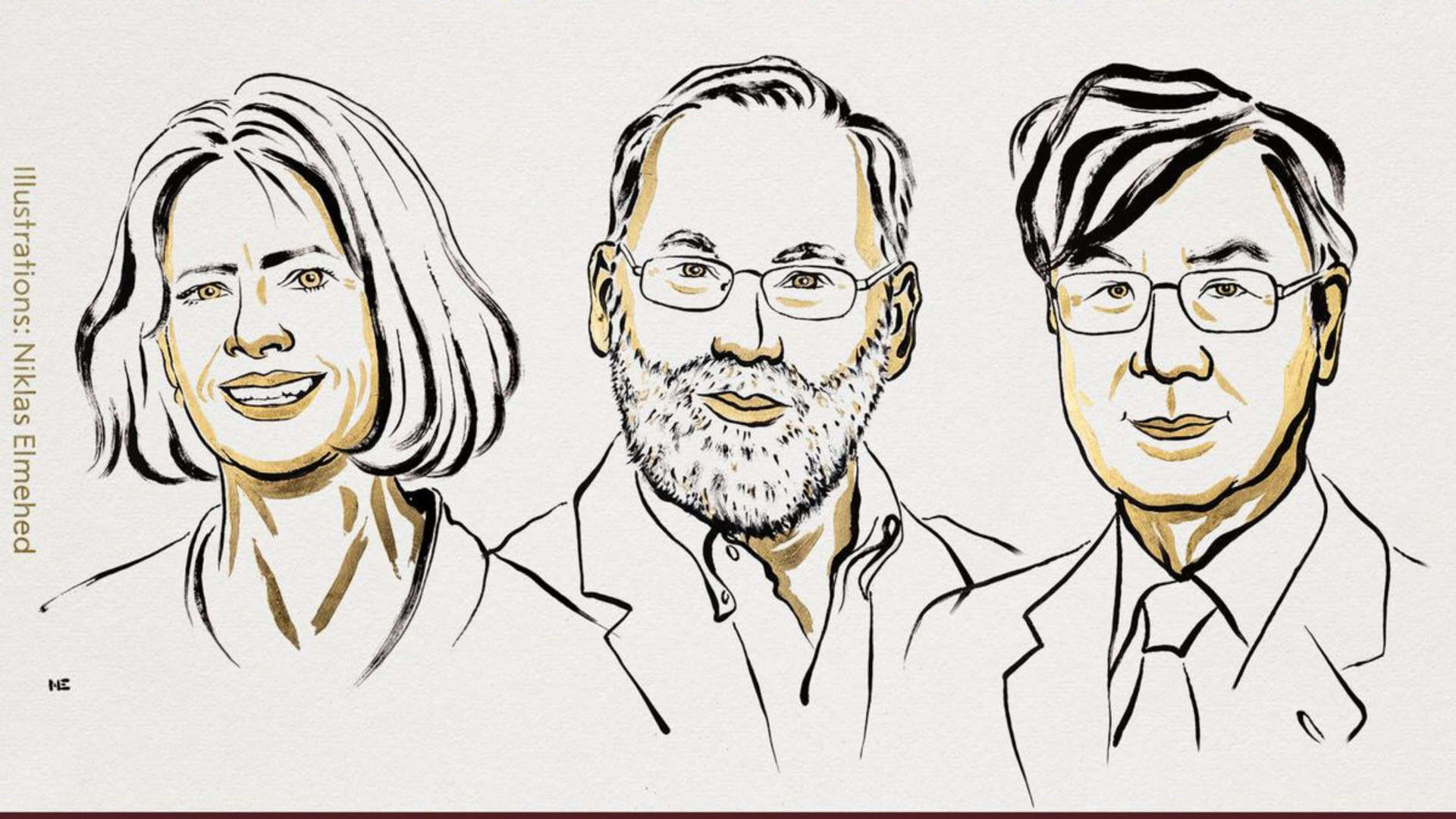 Nobel de Medicina 2025 vai para descobertas sobre ‘freio’ do sistema imune