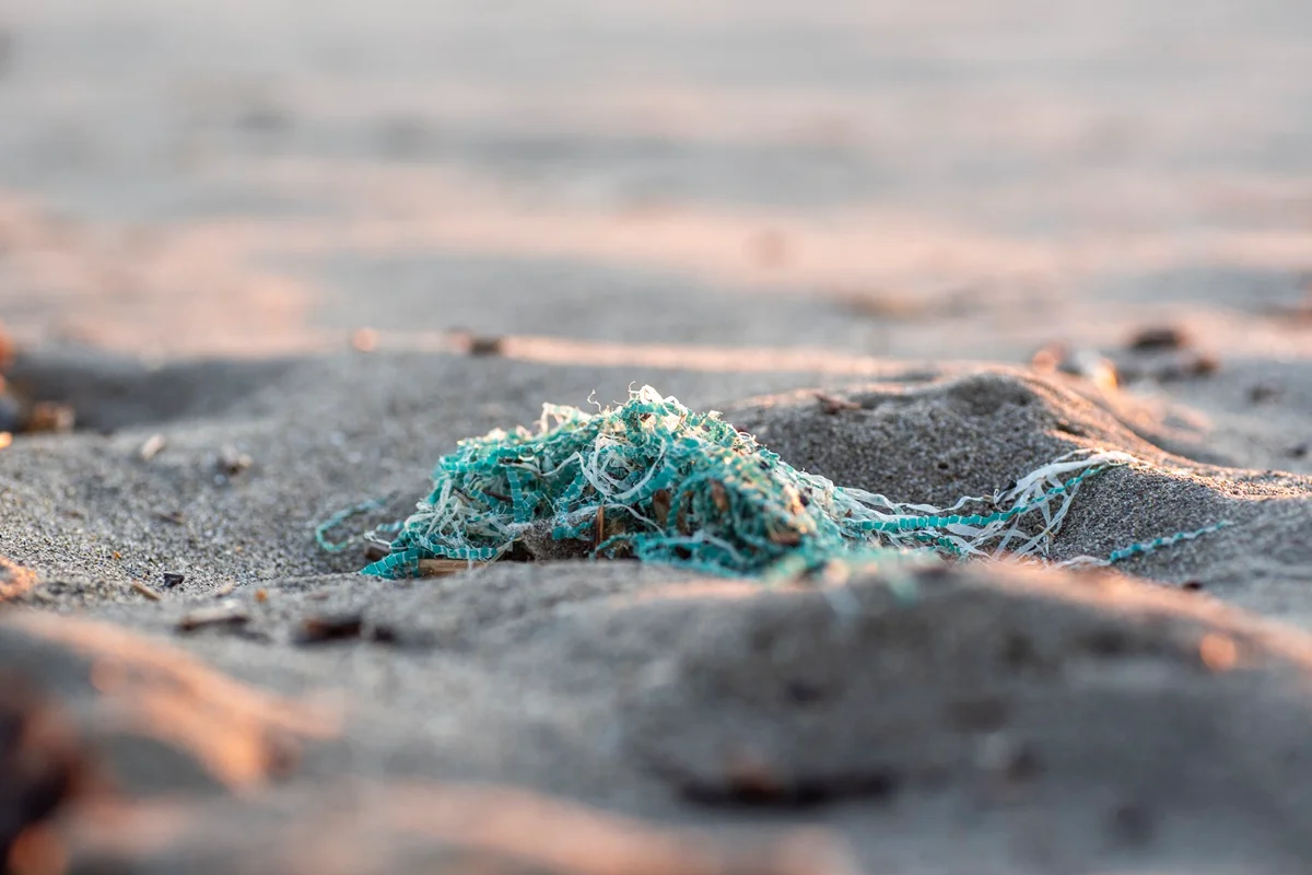 Microplásticos já contaminam toda a cadeia alimentar do planeta