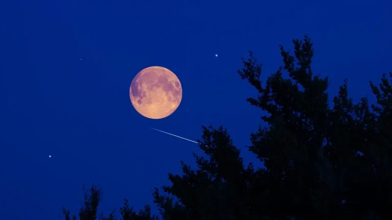 Superlua do Castor vai iluminar o céu em novembro