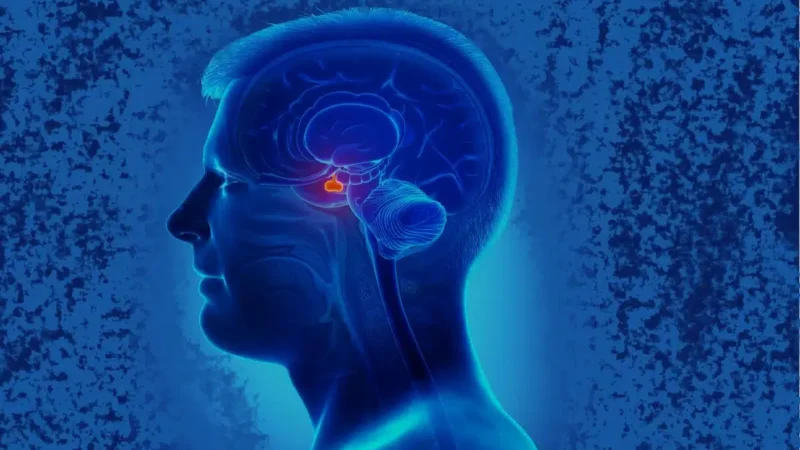 Estímulos no cérebro podem aumentar atitudes de generosidade