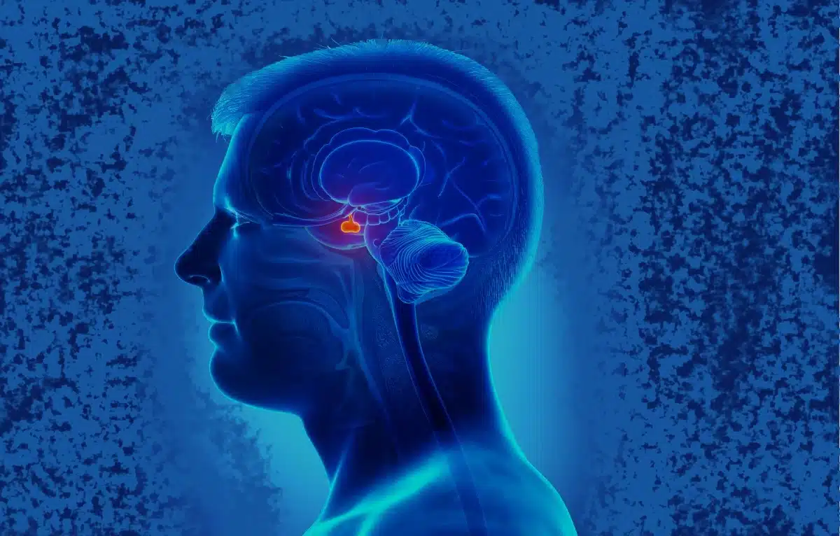 Estímulos no cérebro podem aumentar atitudes de generosidade