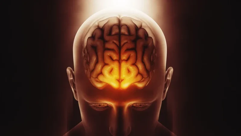 Estudo identifica “portão inteligente” de proteção ao sistema nervoso