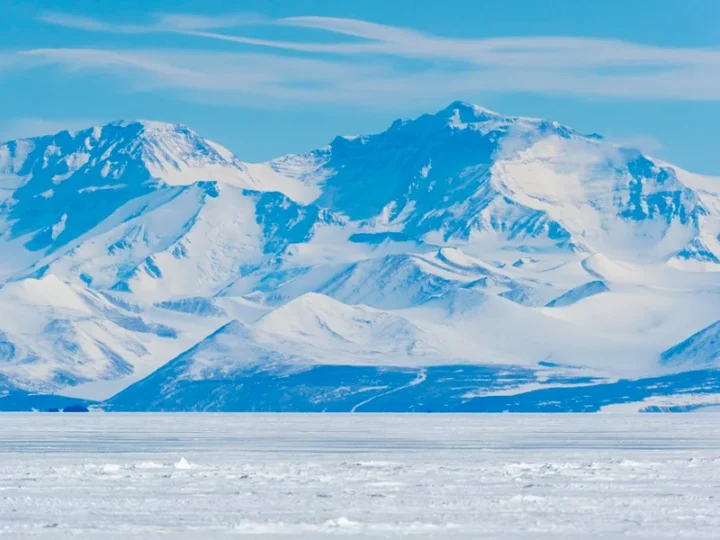 Chuvas na Antártica estão modelando a vida no continente, diz pesquisadora