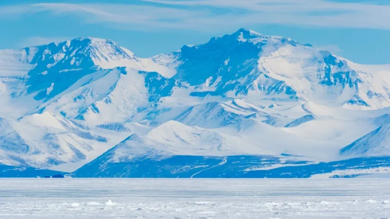 Chuvas na Antártica estão modelando a vida no continente, diz pesquisadora