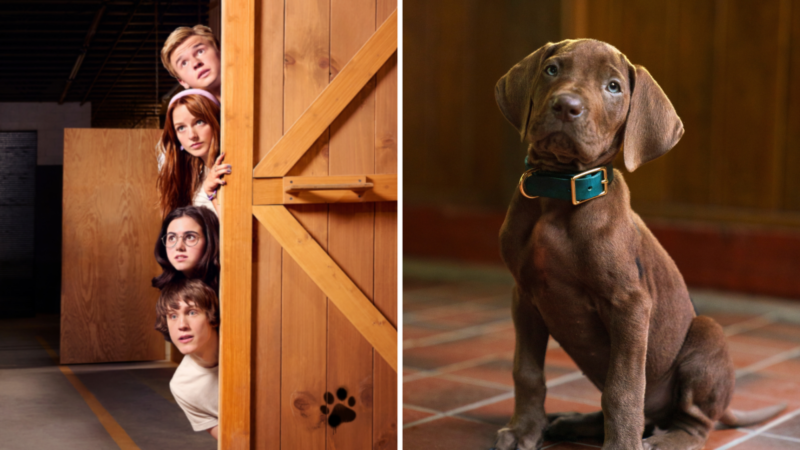 “Scooby-Doo: A Origem”: tudo o que sabemos sobre live-action