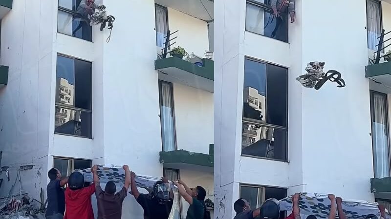 Moradores usam lençol para salvar cachorrinho preso após terremoto; vídeo