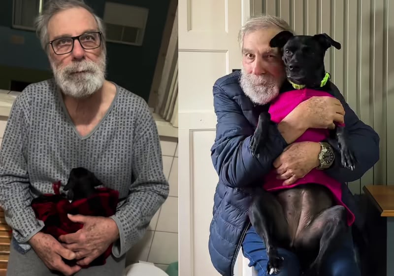 Idoso não queria ganhar filhote após perder cachorro: olha como eles estão hoje