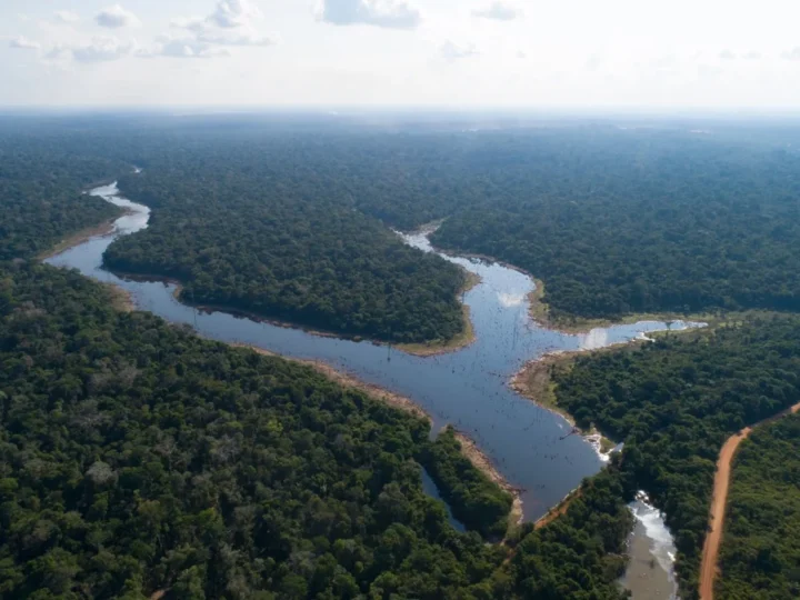 Aquecimento acelerado e secas severas levam Amazônia ao limite do colapso