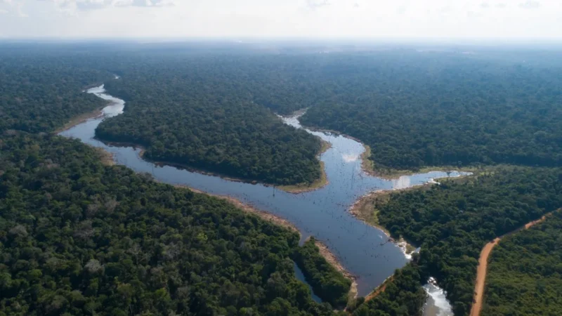 Aquecimento acelerado e secas severas levam Amazônia ao limite do colapso