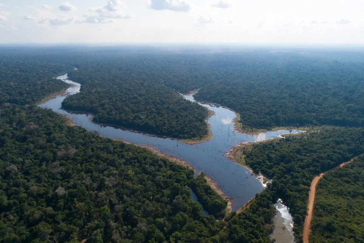 Aquecimento acelerado e secas severas levam Amazônia ao limite do colapso